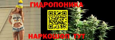 тгк Рязань