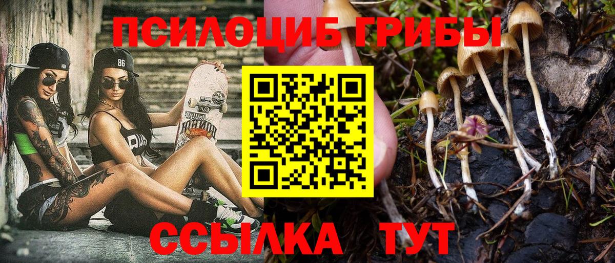 Псилоцибиновые грибы MAGIC MUSHROOMS  Вход с VPN  Псилоцибиновые грибы MAGIC MUSHROOMS  Пугачёв 