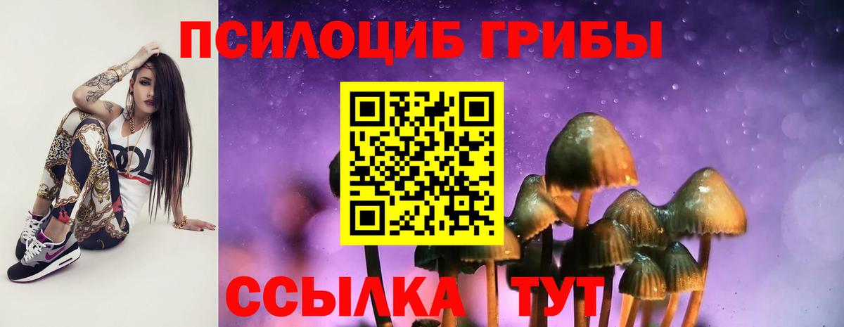 Галлюциногенные грибы прущие грибы Пугачёв