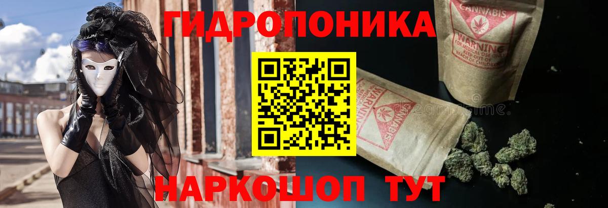 Шишки марихуана план  Вход с VPN  Канабис Bruce Banner  Пугачёв  Марихуана OG Kush  Каннабис марихуана 